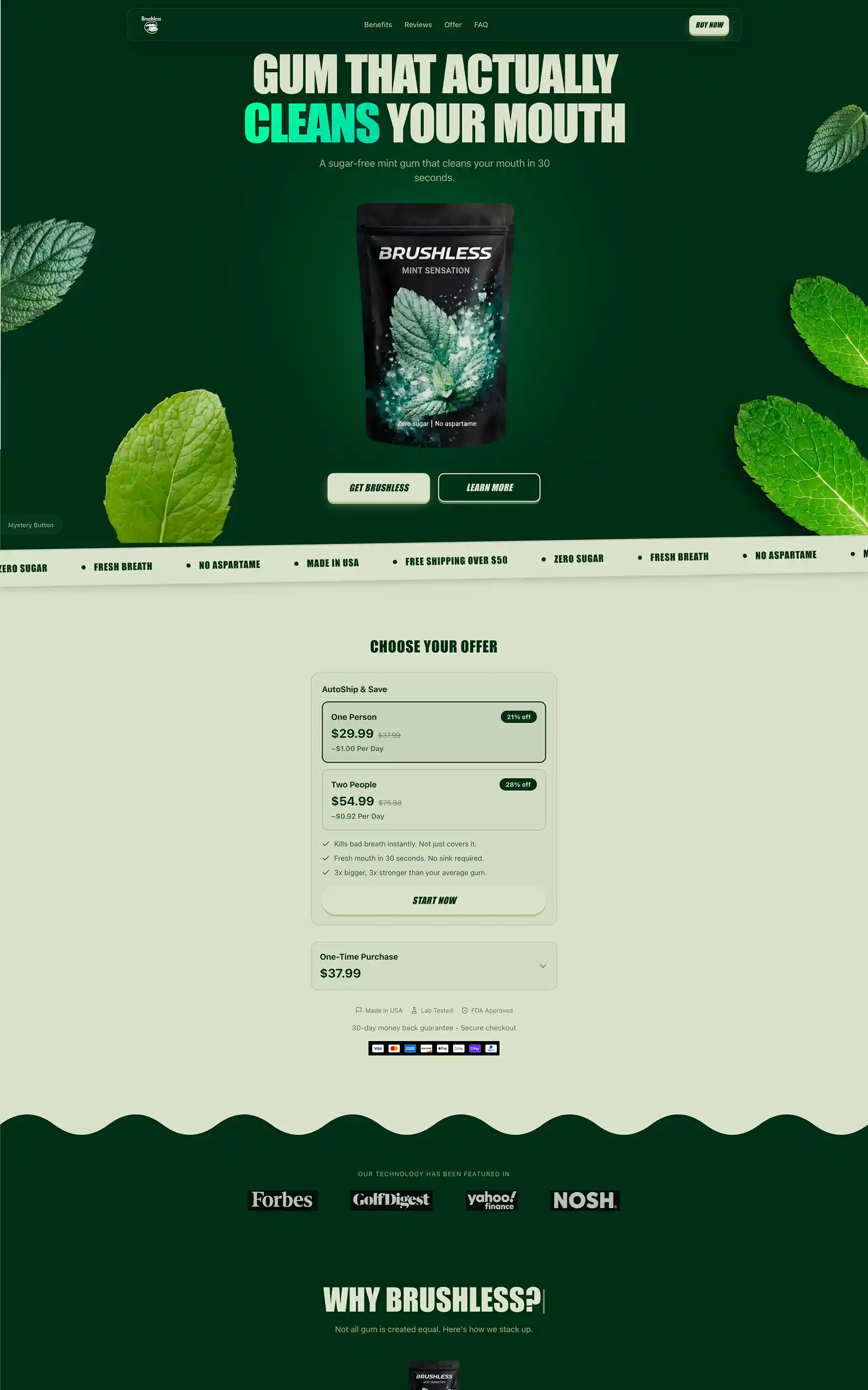 Brushless Landing Page